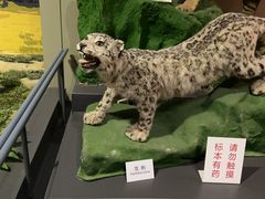 -天津自然博物馆