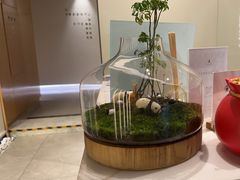 -齐玉齿科JADENTAL
