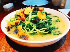 上汤鸡毛菜-金枝玉叶上海人家食府(三里河店)