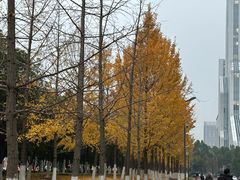 -武汉市民之家