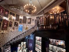 -雪灵魔法世界SHELLY’S TAROT(大良桂畔里店)