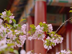 -故宫博物院(故宫)