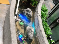 -湘芙蓉·湖南菜(椒江店)