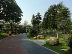 -映月湖公园