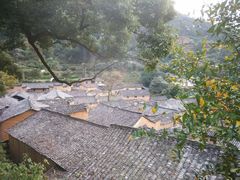 -杨家堂村
