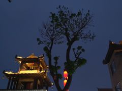 -兰陵国家农业公园