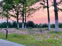 -汉长安城未央宫国家考古遗址公园