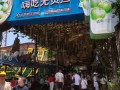 -长鹿旅游休博园