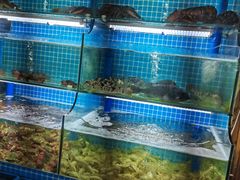 水产区-老东镇啤酒屋海鲜加工·蒸汽海鲜·海鲜烧烤(台东店)