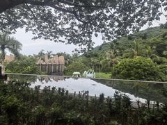 -三亚太阳湾柏悦酒店