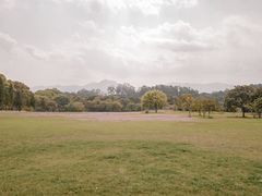 -福建鲤鱼洲酒店