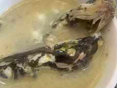 白味黄辣丁-胖大姐黄辣丁鱼庄(新津店)