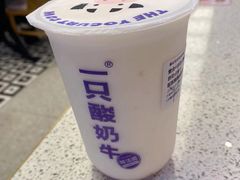 -一只酸奶牛(春熙路店)