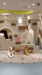 -meland亲子乐园•派对•研学(苏州悠方购物中心店)