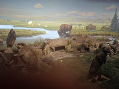 -陕西自然博物馆