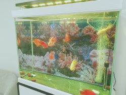 -丰联丽格医疗美容·联合丽格眼整形中心