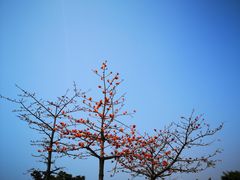 -大嶝英雄三岛战地观光园