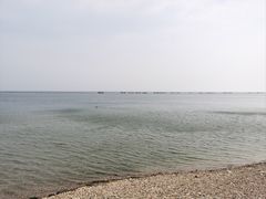 -大连林阳酒店