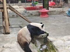 -栾川竹海野生动物园