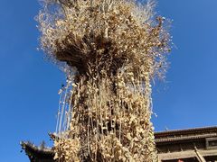 -张掖大佛寺景区