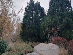 -元大都城垣遗址公园