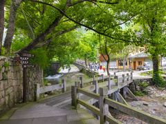 -雁荡山大龙湫景区
