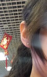 点击看大图 -花师傅