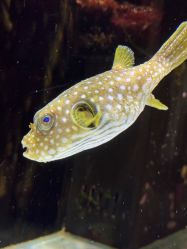 -Zoolung Zoolung动物主题公园(海信广场店)