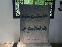 -上海醉白池公园