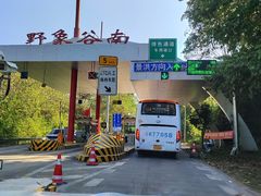 -野象谷景区