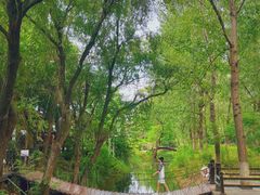 -东山风景区(洞庭东山)