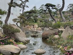 -罗红摄影艺术馆