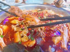 -川囧肥肠鸡·美蛙鱼锅(平高广场店)