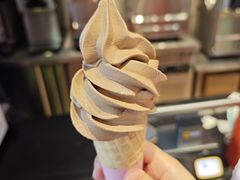 -萨朗刀克冰淇淋雪花凉(植物园店)
