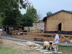 -HERRE·FARM 赫尔露营农场·团建聚会包场