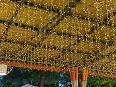 -二荆条·蜀鲜汇城市森林火锅