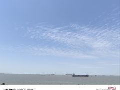 -上海滨江森林公园