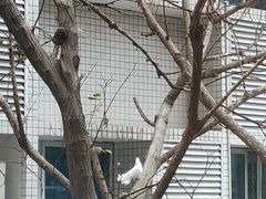 -壹厨饭店(五羊店)