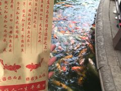 -荆川公园