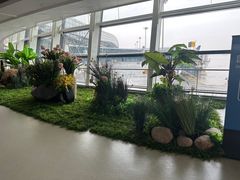 -温州龙湾国际机场