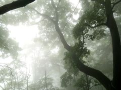 -九鼎铁刹山风景区