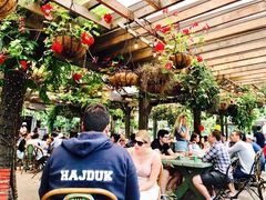 -The Grounds of Alexandria
