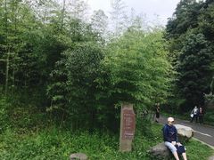 -都江堰中华大熊猫苑