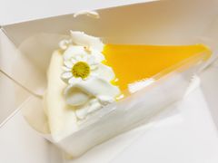 日本柚子千层-双风车咖啡馆 Twin Windmills(六道口店)