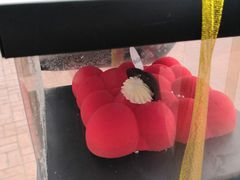 -美事客·面包·蛋糕·甜品(CBD店)