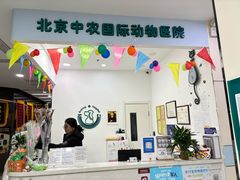 -中农国际动物医院24小时·猫科·骨科·急重症中心