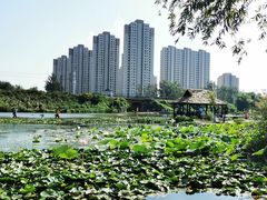 -前关湿地公园