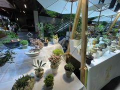 -瑞虹新天地月亮湾