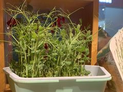 -九木杂物社(东方宝泰店)