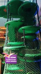 -恐龙探索乐园(磁器口店)